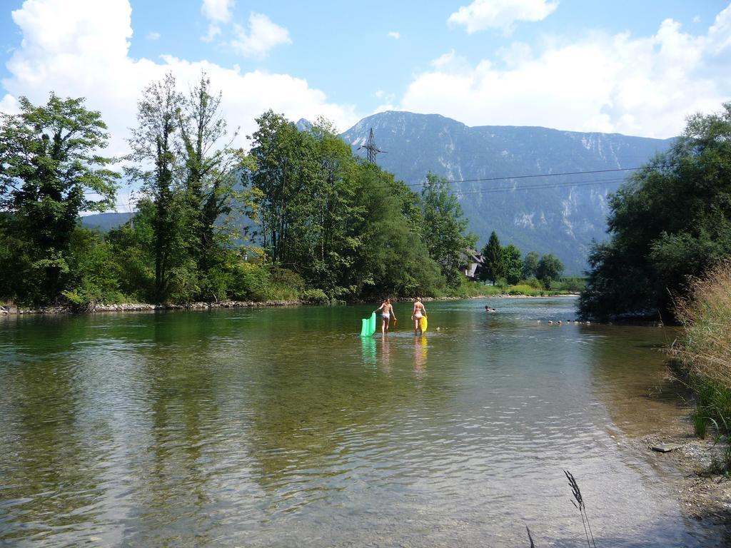 Landhaus Hallstatt Feeling - Apartment - Self Check-In Bad Goisern Exterior foto